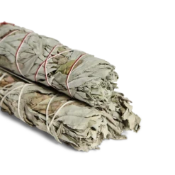 Earl Of East | Sage Bundle -Home Product Store EarlofEast SageBundle Crop