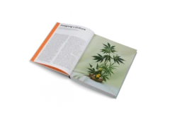 Gestalten | High On Design 4 Gestalten | High On Design -Home Product Store HighOnDesign inside01 2000x b6b0b1d6 8922 46cd ba36 afb472bc9a06