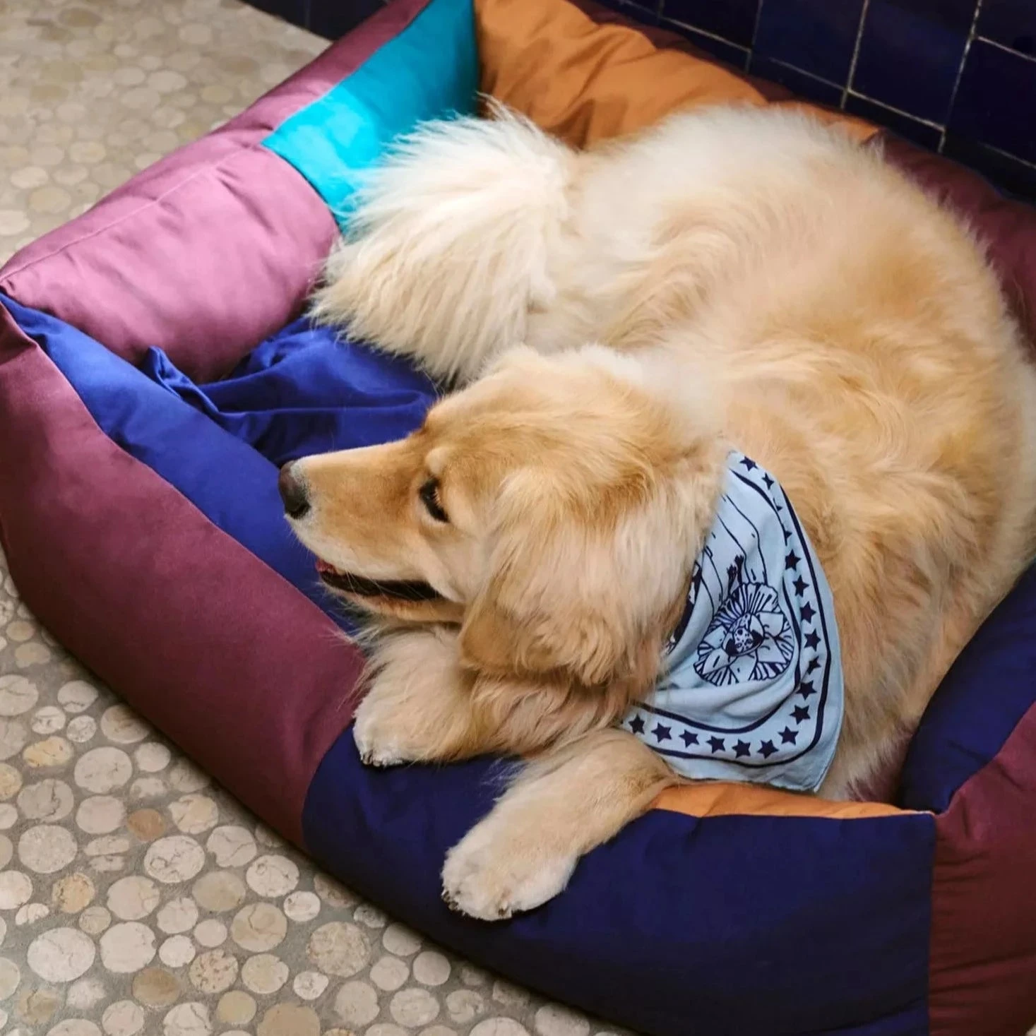 HAY | Dogs Scarf - Light Blue HAY | Dogs Scarf - Light Blue -Home Product Store R04271221 LIGHTBLUE ALT05