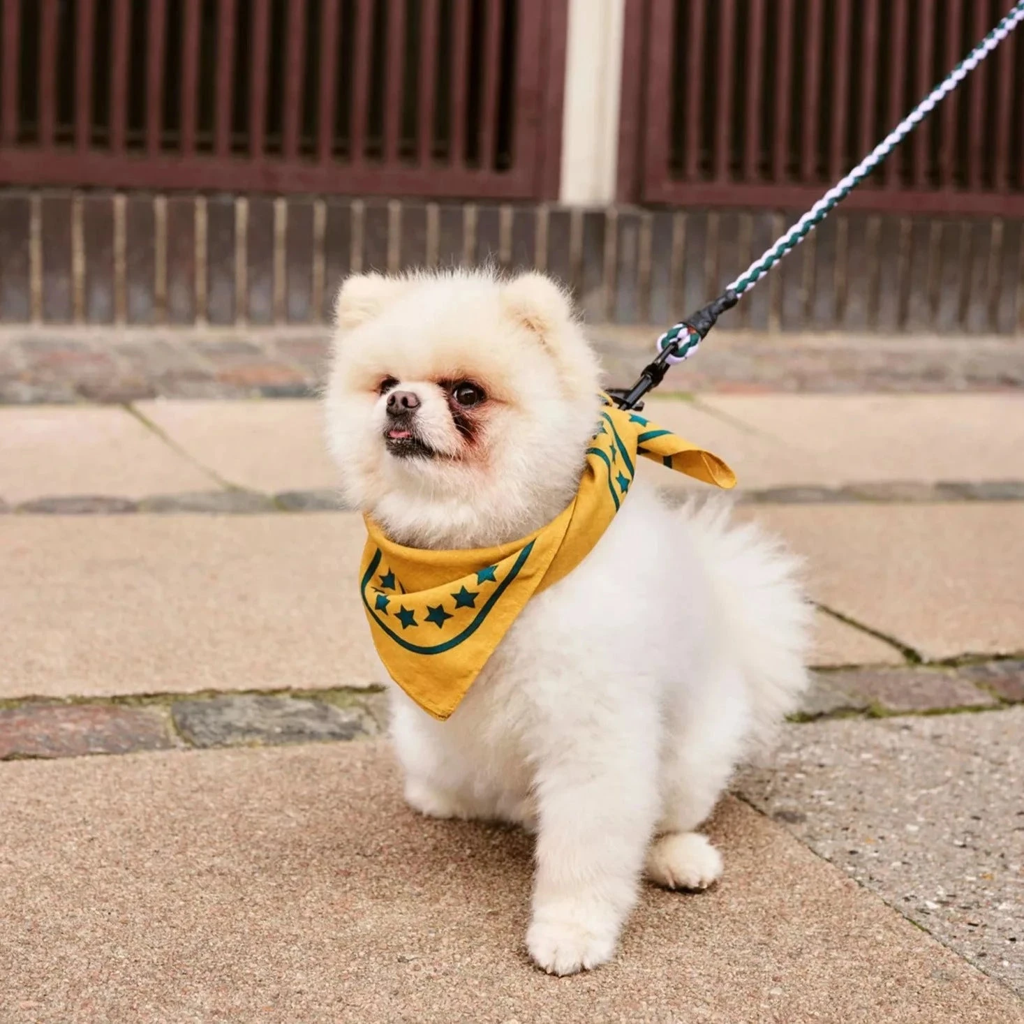 HAY | Dogs Scarf - Ochre Yellow HAY | Dogs Scarf - Ochre Yellow -Home Product Store R04271221 OCHRE ALT02