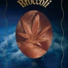 Broccoli Magazine | Issue 19