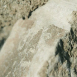 Earl Of East | Atlas Cedar - Soy Wax Candle - 260ml [9.1oz] -Home Product Store earl of east atlas cedar natural soy wax candle 260 2