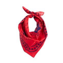 HAY | Dogs Scarf - Red