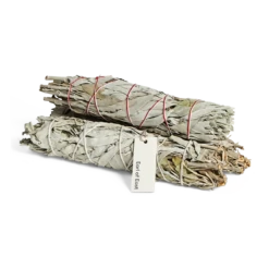 Earl Of East | Sage Bundle