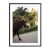 The Happiness Collective | 'A Horse With No Name' On Film - Framed Print -Home Product Store the happiness collective film photography print horse 2