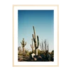 The Happiness Collective | 'Stick Em Up' On Film - Framed Print -Home Product Store the happiness collective film photography print stick em u2