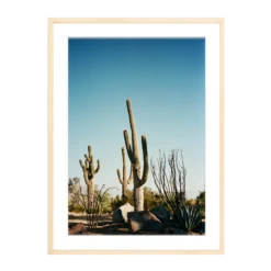 The Happiness Collective | 'Stick Em Up' On Film - Framed Print